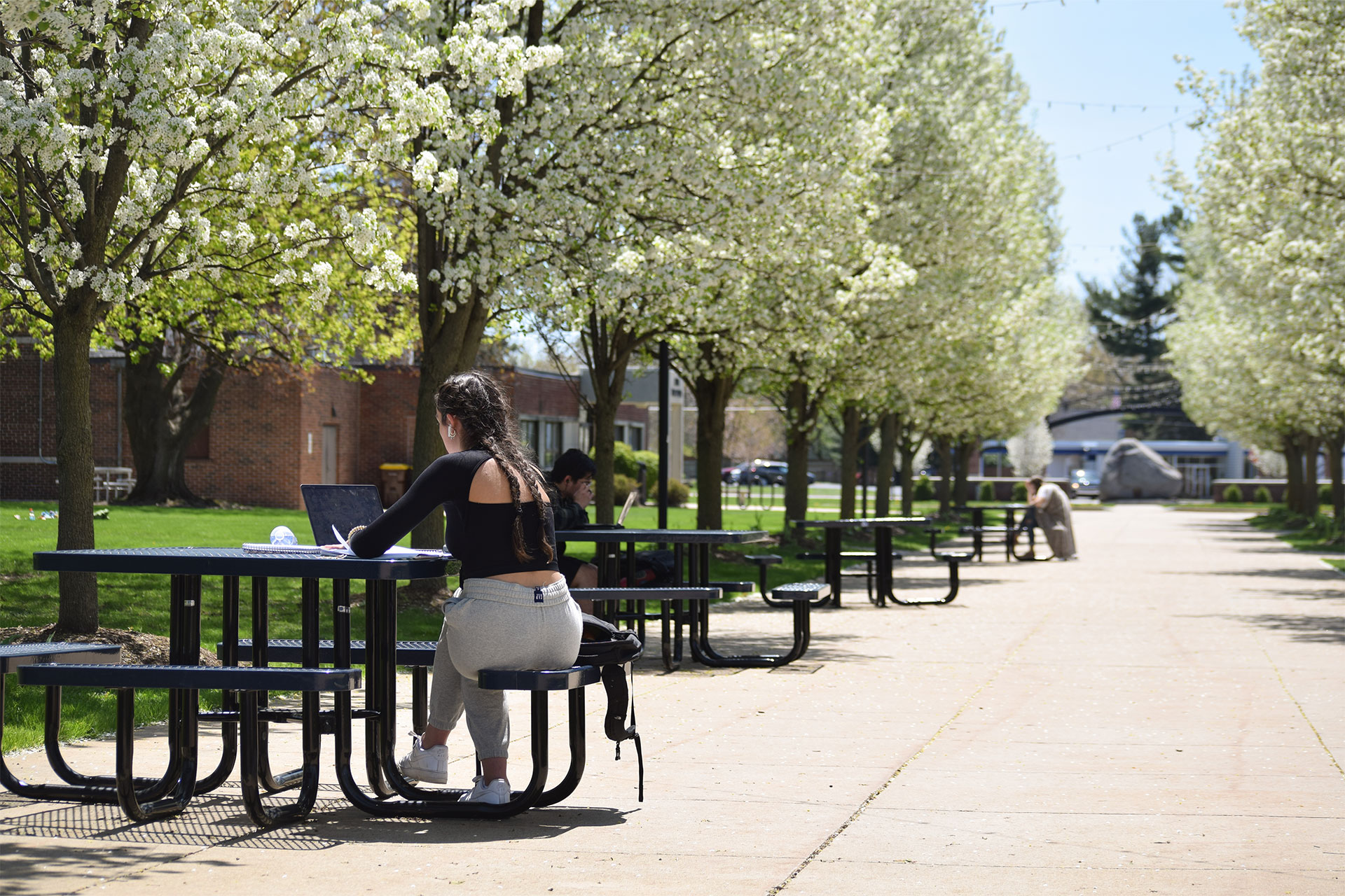 About Spring Arbor University Spring Arbor University