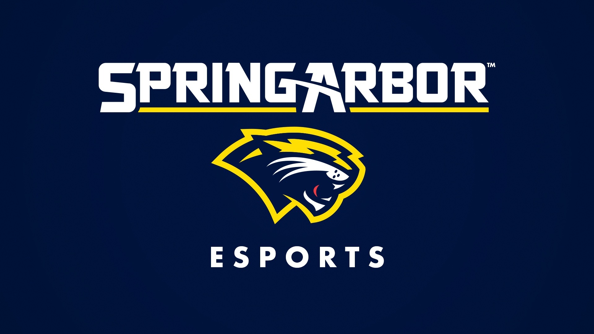 Spring Arbor University announced as new sport for 2024-25 season.