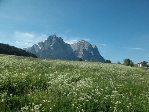 A field with greenery and in the distance is a large mountain.