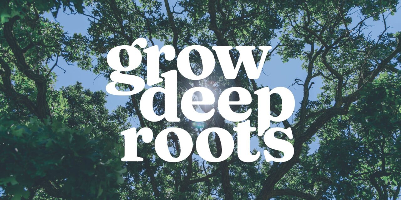 Spring Arbor University announces new brand promise: Grow Deep Roots