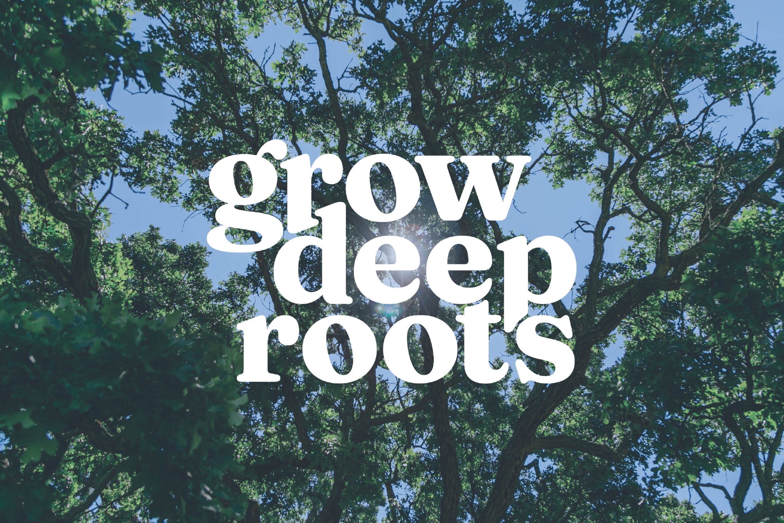 Grow Deep Roots